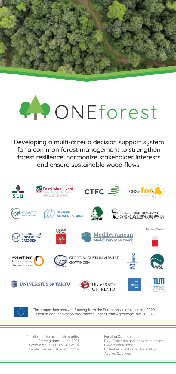 ONEForest_flyer_face A